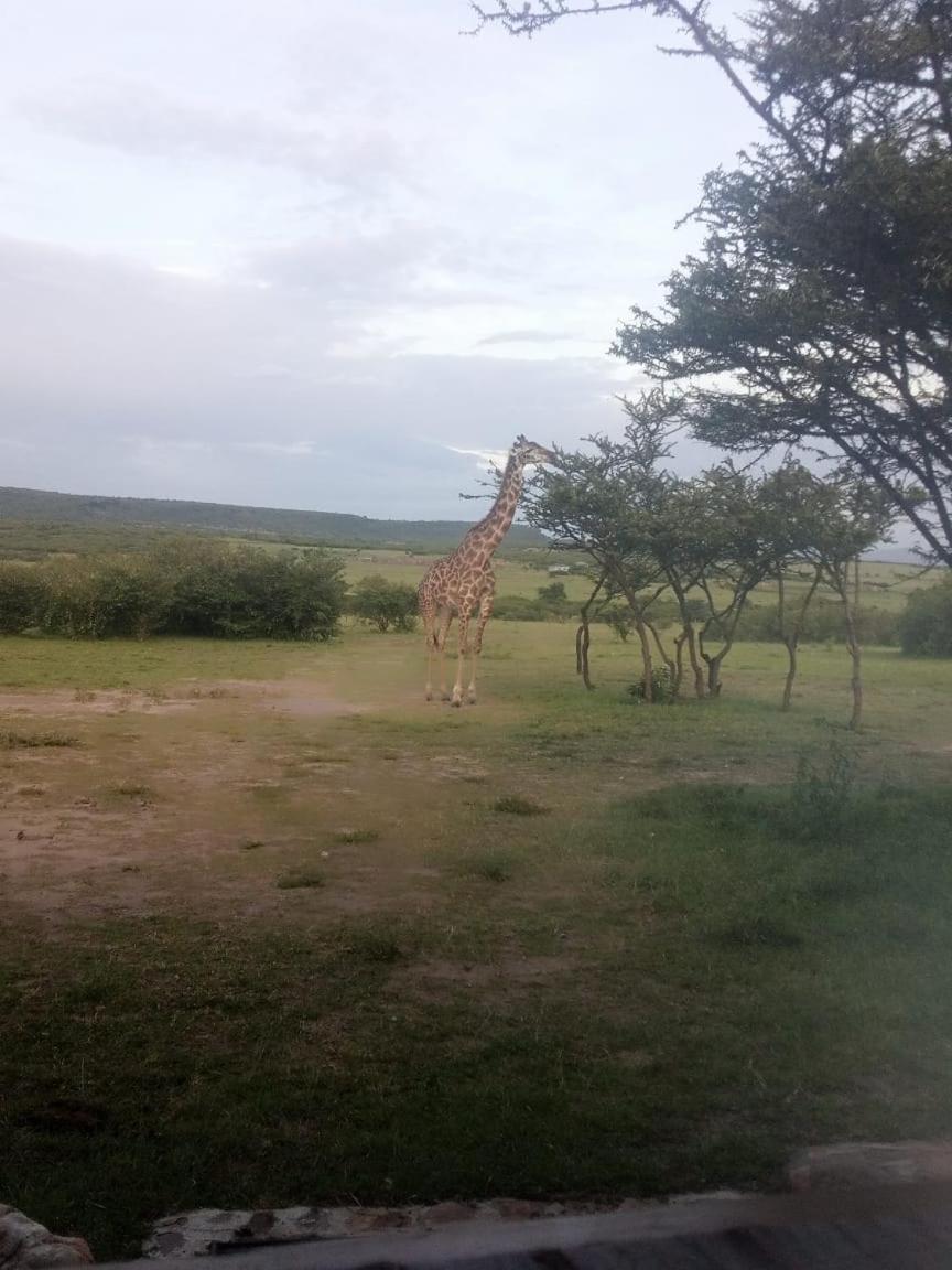 Narasha Homestay - Maasai Mara Talek Luaran gambar