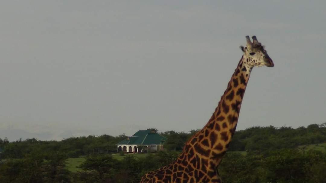 Narasha Homestay - Maasai Mara Talek Luaran gambar