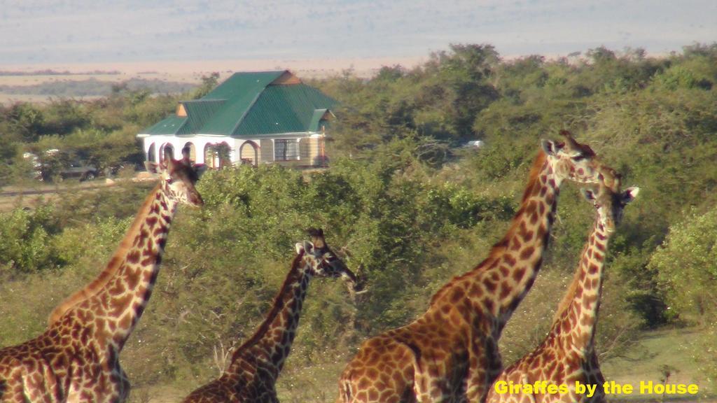 Narasha Homestay - Maasai Mara Talek Luaran gambar