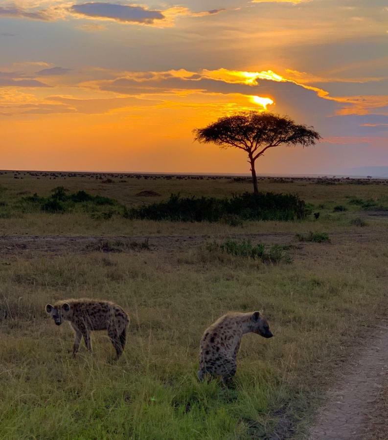 Narasha Homestay - Maasai Mara Talek Luaran gambar